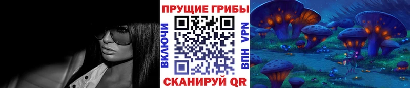 как найти   Дмитриев  Галлюциногенные грибы Magic Shrooms 