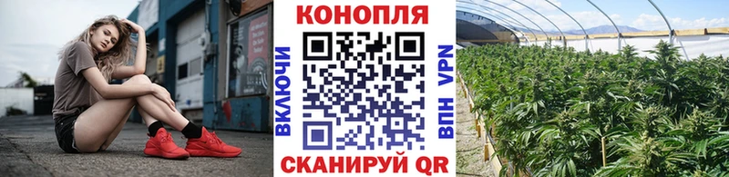 наркота  Дмитриев  Конопля LSD WEED 